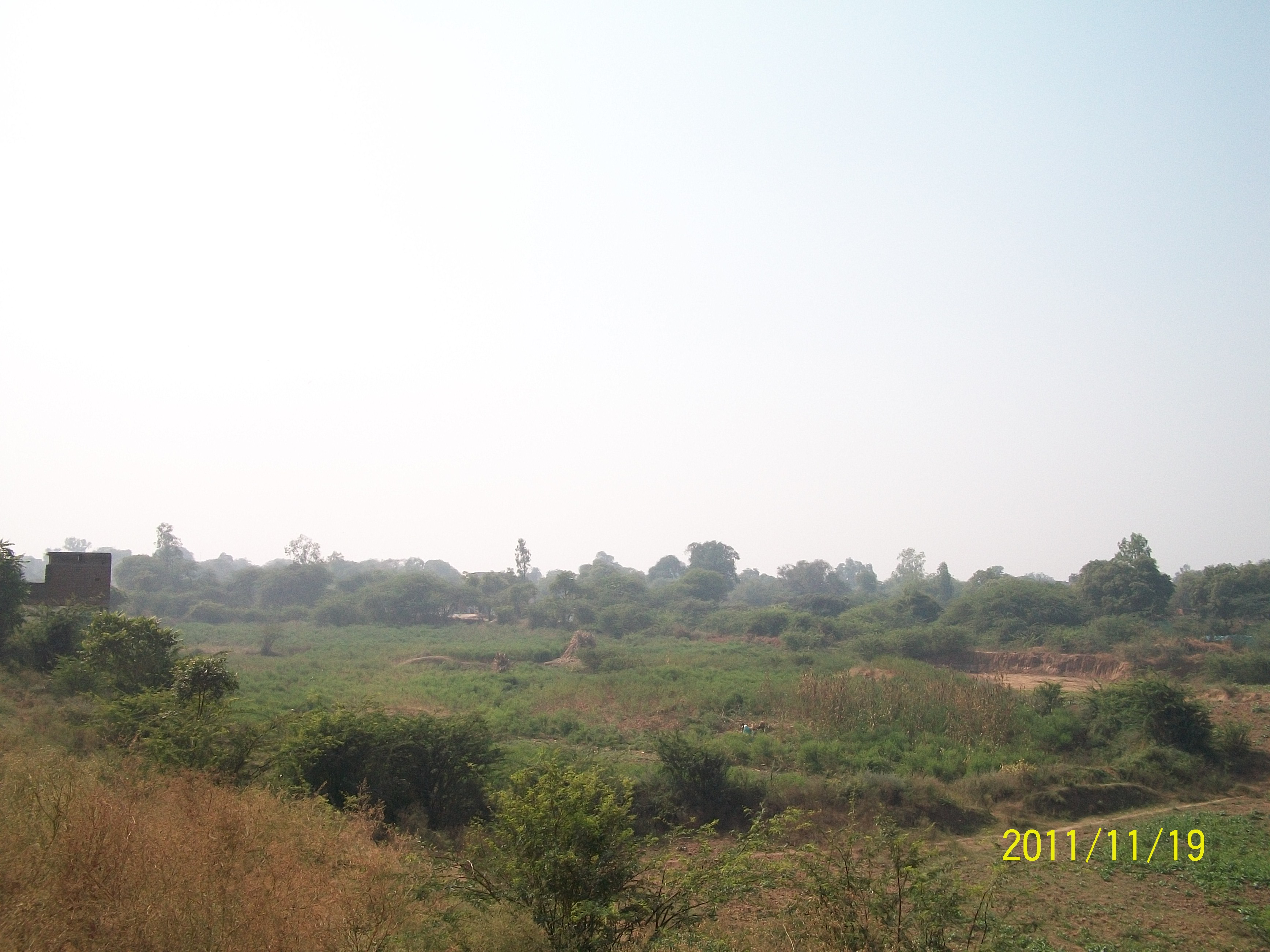 Vegetation due to Contour Bunding, promoted by DESI